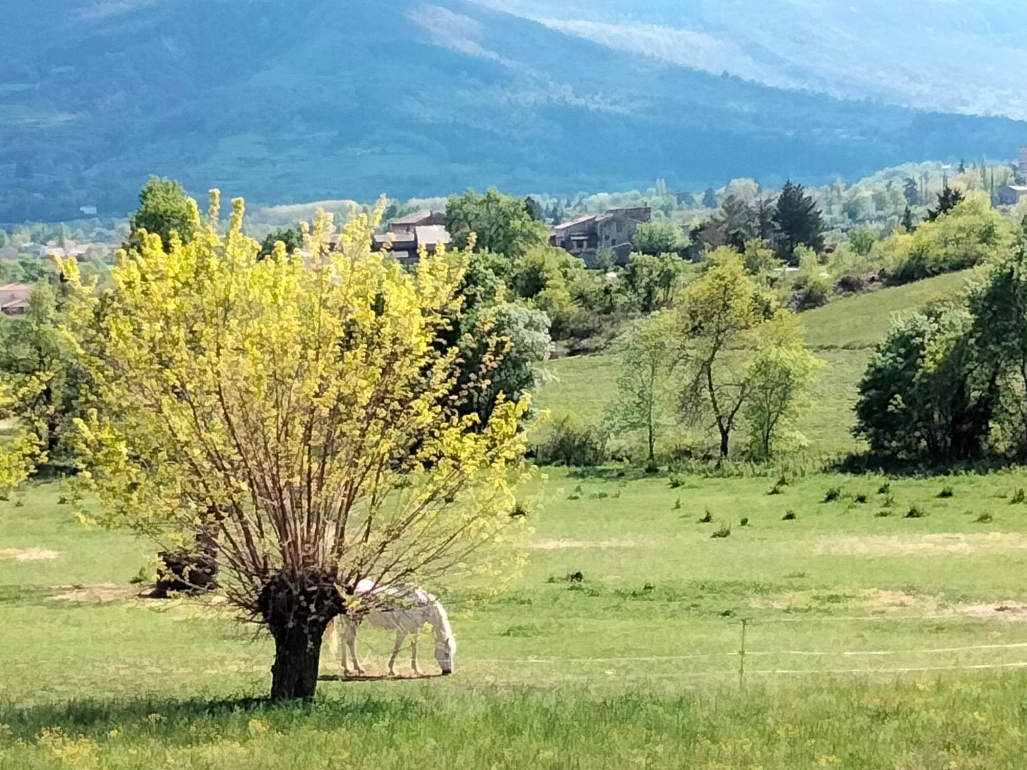 Chambre D'Hotes La Terrasse De Sabatas Chomérac 外观 照片
